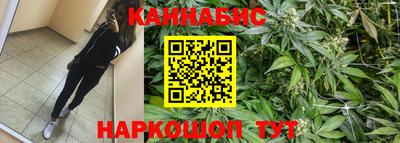 гашик Малоярославец