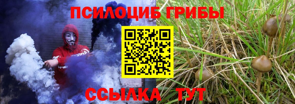 Псилоцибиновые грибы MAGIC MUSHROOMS  Псилоцибиновые грибы мухоморы  Вход с VPN  Чебаркуль 