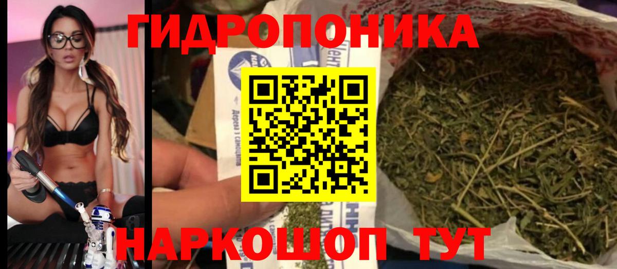 Каннабис индика  Шишки марихуана индика  Бошки Шишки тримм  Чебаркуль  Бошки Шишки OG Kush  Вход с VPN 